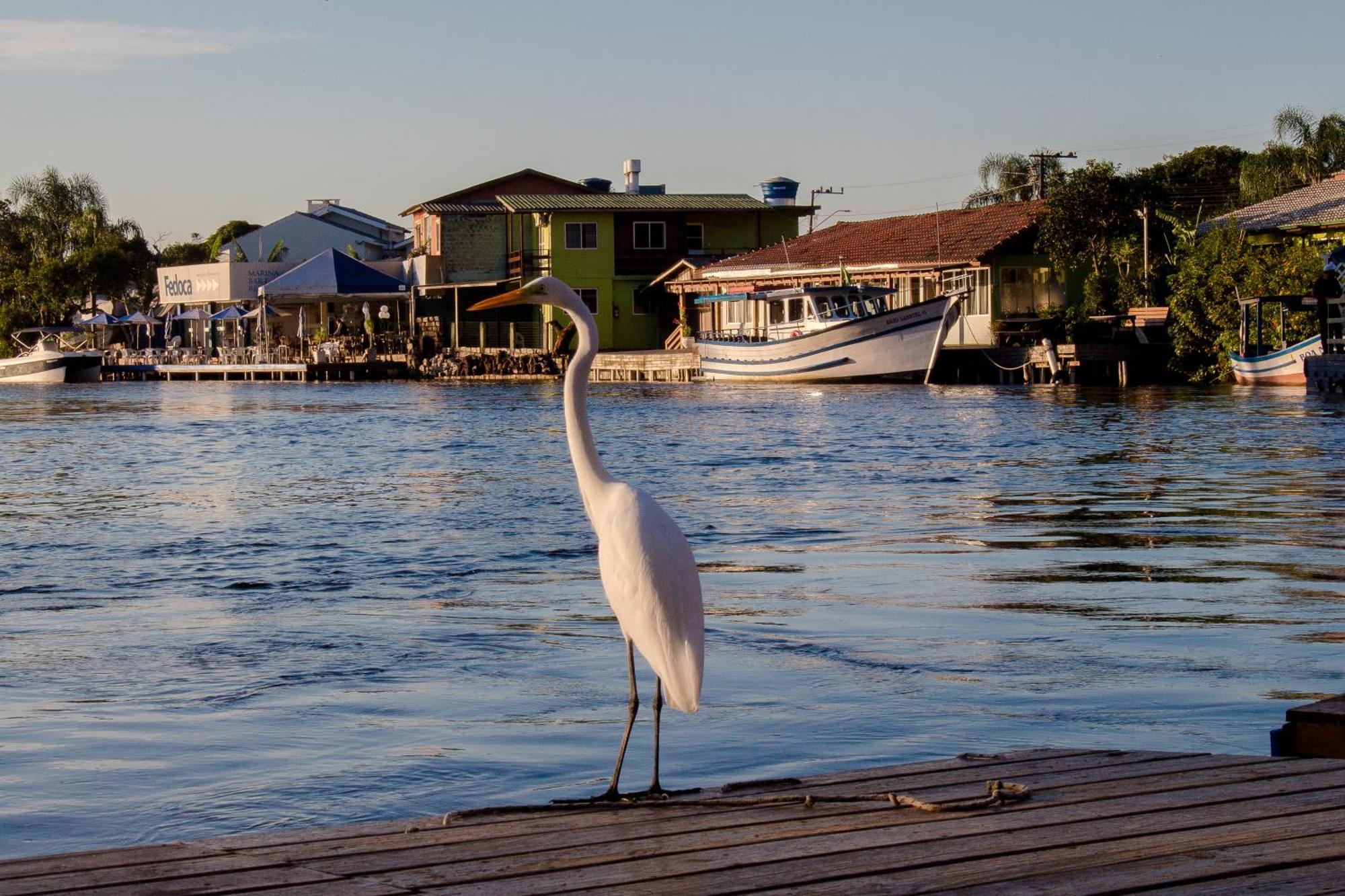 Pousada Quinta Da Margem Florianópolis Kültér fotó